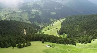 Yaylada arazi kavgası katliama dönüştü