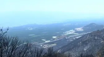 Bursa’da orman yangınlarının ardından 'hava kirliliği' alarmı: Şikayetler yüzde 30 arttı
