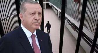 Cumhurbaşkanı Erdoğan, 9 hükümlünün cezasını kaldırdı