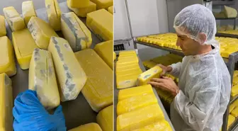 Hepsini vatandaşa yedireceklerdi! Mide bulandıran manzara, tam 1,5 ton