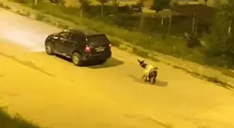 Kars'ta eşeği arabaya bağlayıp, zorla sürükleyerek götürdüler