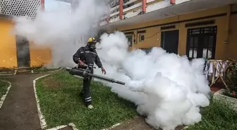 Çin'de 7 binden fazla 'chikungunya' virüsü vakası tespit edildi