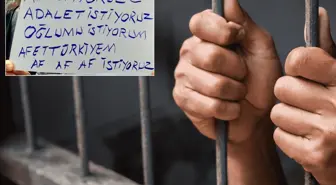 18 ili kapsayan genel af anketi: Çıkan sonuç şaşırttı
