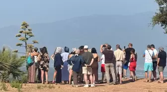 Görüntü Türkiye'den! 30 sonra bir ilk yaşandı, görmek için akın ettiler