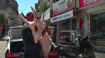 Gören şaştı kaldı: Etler bagajda, hijyen umursanmadı