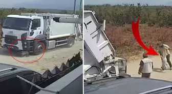 Ezerek telef olan köpekleri çöp kamyonuna atıp götürdüler