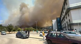 Çanakkale'deki orman yangını devlet hastanesine ulaştı! Hastalar tahliye ediliyor