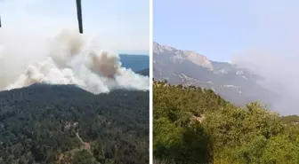 Sinop'ta orman yangını! Bir köy tahliye edildi