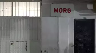 Ailecek gittikleri piknik felaketle sonuçlandı