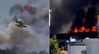 Çanakkale'de orman yangını! Alevler hızla ilerliyor, tahliyeler başladı