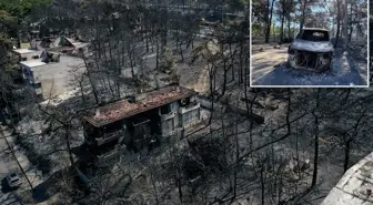 Çanakkale'deki yangın büyük ölçüde kontrol altına alındı, geriye bu manzara kaldı