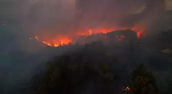 İzmir'in Buca ilçesinde orman yangını! Alevler hızla ilerliyor