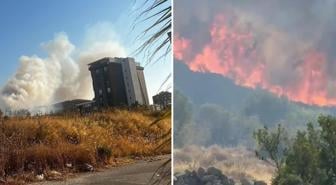 İzmir'in Buca ve Aliağa ilçelerinde orman yangını
