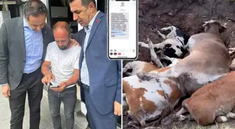 CHP'li Özgür Erdem İncesu'dan bomba iddia: Yapılmayan şap aşısının parasını istiyorlar
