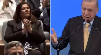Cumhurbaşkanı Erdoğan'dan Özlem Çerçioğlu'na yönelik eleştirilere sert tepki