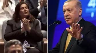 Cumhurbaşkanı Erdoğan'dan Özlem Çerçioğlu'na yönelik eleştirilere sert tepki