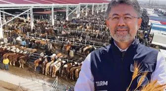 Tarım ve Orman Bakanı Yumaklı: Şap büyük oranda baskılandı, 8 ilde hayvan pazarları açılacak