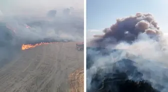 Yangınların arkası kesilmiyor! Çanakkale'den alevler yükseldi