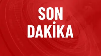Trump-Putin zirvesine Cumhurbaşkanı Erdoğan'dan ilk yorum