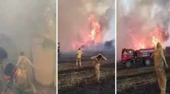 Çanakkale'de alev savaşçılarının zorlu mücadelesi kamerada! Ateş çemberinin içinde kaldılar