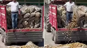 Çiftçi bir traktör patatesi köy meydanına döktü, bakanlık soruşturma başlattı