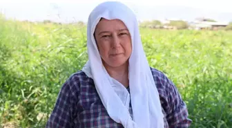 Çöl sıcağında ekmek mücadelesi: Öğlen 12'ye kadar çalışıp 1500 TL alıyorlar