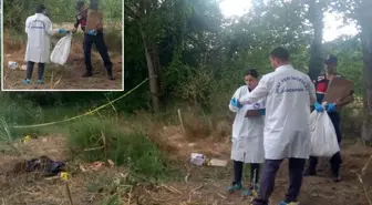 Düzce'de mısır tarlasında insan kafatası ve kemikleri bulundu