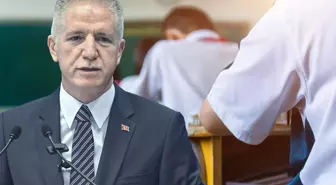 İstanbul Valiliği'nden sahipsiz hayvanlarla ilgili talimat: İvedilikle toplanmalı