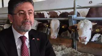 Bakan Yumaklı: Türkiye'de şap hastalığının yeni bir çeşidi 60 sene sonra ilk kez görüldü