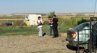 Ailelerin kavgasında ortalık savaş alanına döndü: 2 ölü, 13 gözaltı