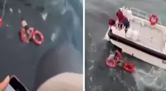 Deniz panik anları! Feribottan atlayarak intihar girişiminde bulundu