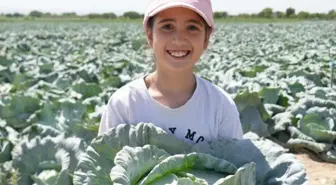 Kilosu 10 liradan satılıyor, hepsi 100 yıllık ata tohumu