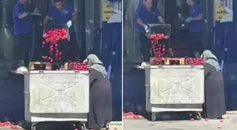 Zincir market kasalar dolusu domatesi çöpe döktü