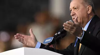 Erdoğan'ın 'Tepelerine bineceğiz' sözlerinin ardından İstanbul'da çetelere operasyon