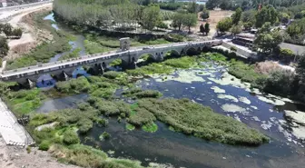 Edirne'de kuraklık alarmı! Tunca Nehri'ni otlar kapladı