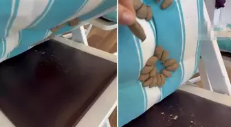 Minderini kaldıran kadın, dehşet verici manzarayla karşılaştı
