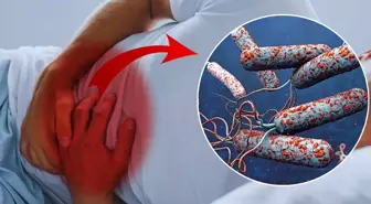 31 ülkede kolera alarmı! Ölümler her geçen saat hızla artıyor