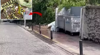 İstanbul'da çöpte yanmış bebek cesedi bulundu