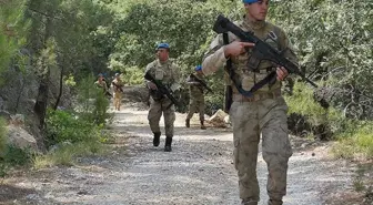 Jandarma kışlada değil, tarlada nöbet tutuyor: Kilosu rekor seviyeleri gördü