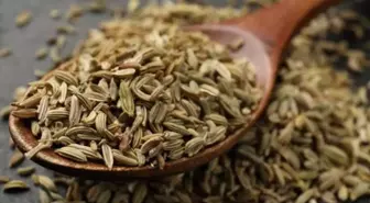 Dünyanın en sağlıklı yiyeceği belli oldu! Binlerce besini geride bıraktı