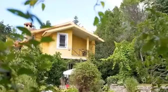 25 yıldır aynı evde yaşıyor: Gafur Uzuner'in orman içindeki cenneti