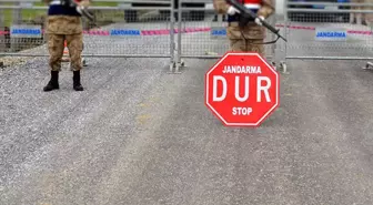 Tilki ile köpek boğuştu, bir belde karantinaya alındı