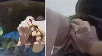 Kalemi polise fırlatan kadın, bedelini ağır ödedi