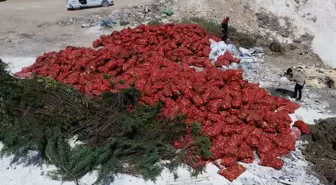 Tonlarca kuru soğanı boş araziye attılar, gören akın etti