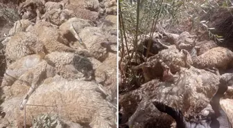 333'ü birinin peşinden gitti, zarar çok büyük