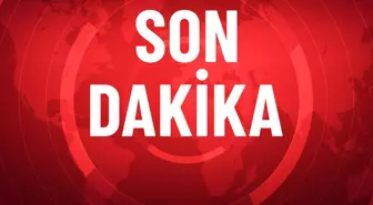 Tarihi zafer! Filenin Sultanları Dünya Şampiyonası'nda finalde