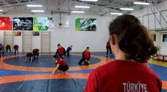 Türkiye sporda altın çağını yaşıyor: Son 20 yılda sporcu sayısı 63 kat arttı