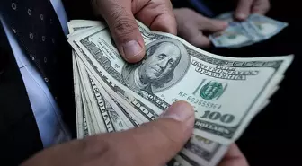 124 ülke fındık için sıraya girdi! Türkiye'ye para yağdırdılar