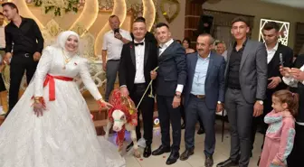 Ne altın, ne para! Yeni evlenen çifte sürpriz hediye