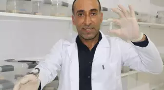 İnşaatçılığı bırakıp bu işe girdi, gramından on binlerce dolar kazanacak